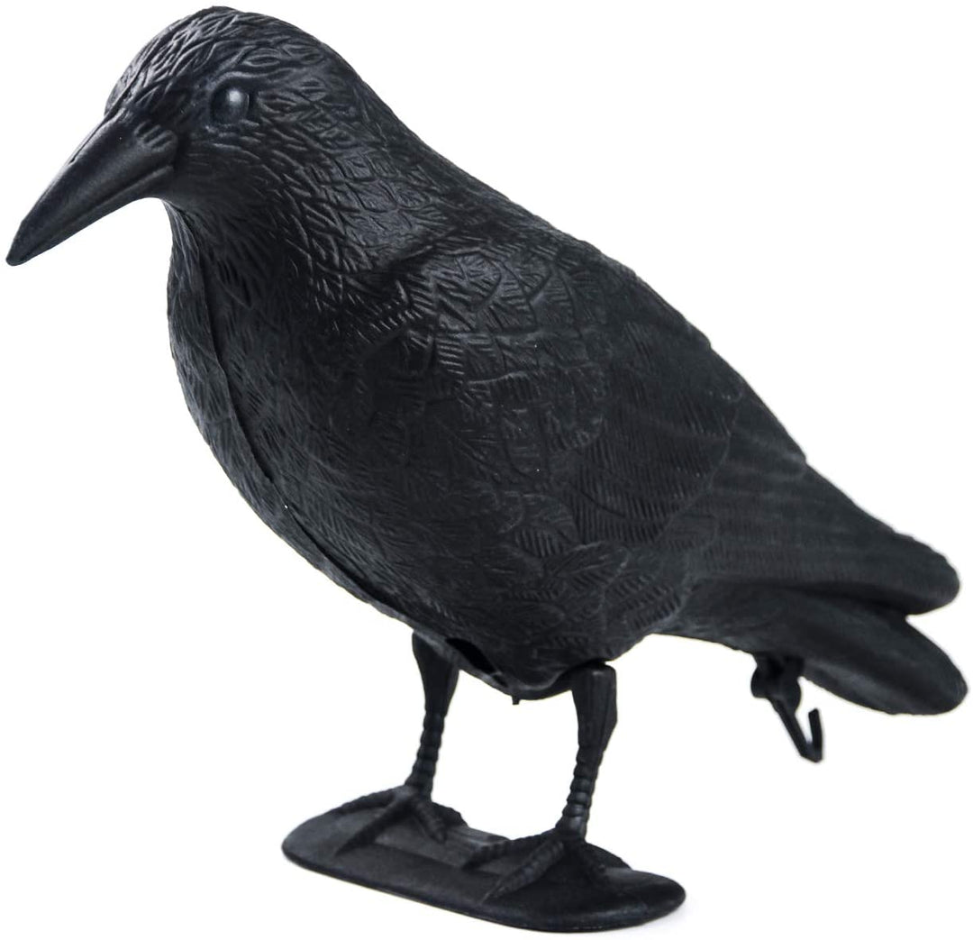 Plastic Crow decoy