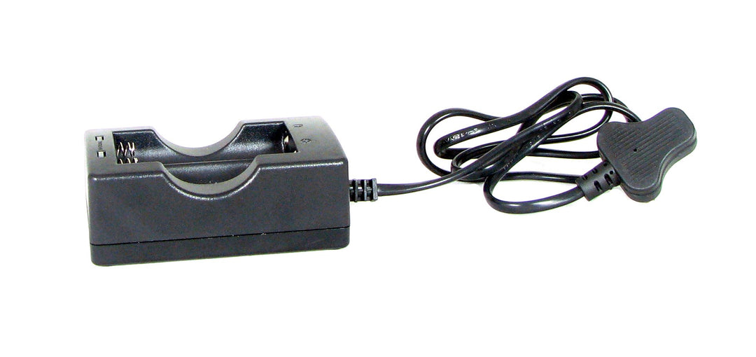 Predator 18650 double mains charger